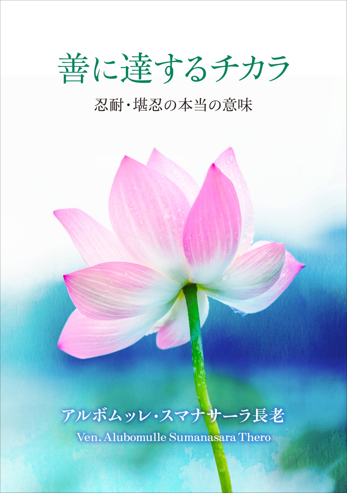 Amazon.co.jp: ◇◇仏教・瞑想 関連本 23冊セット 日本
